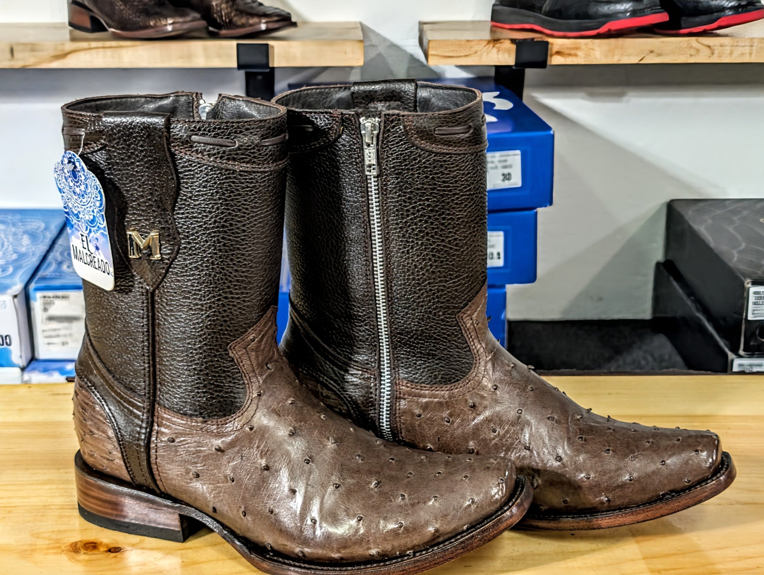 El Malcreado Dylan Avestruz Color Tabaco