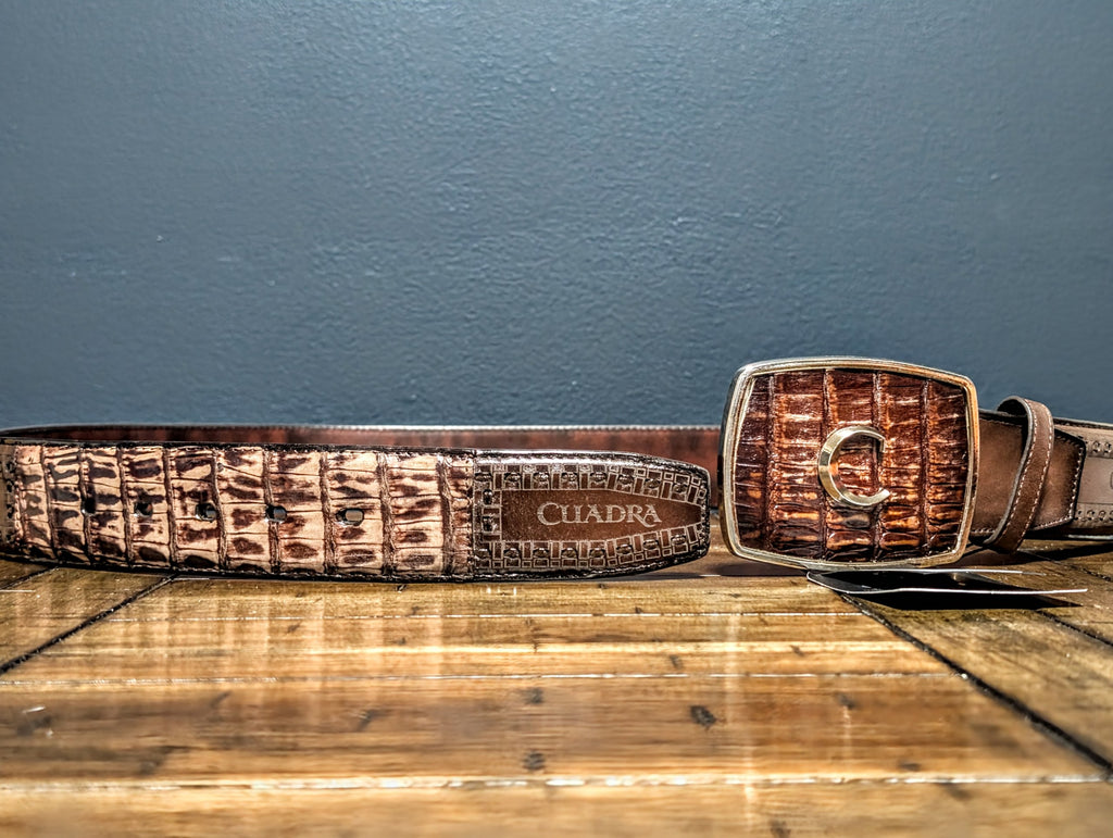 Cinturón de Cayman y Bovino