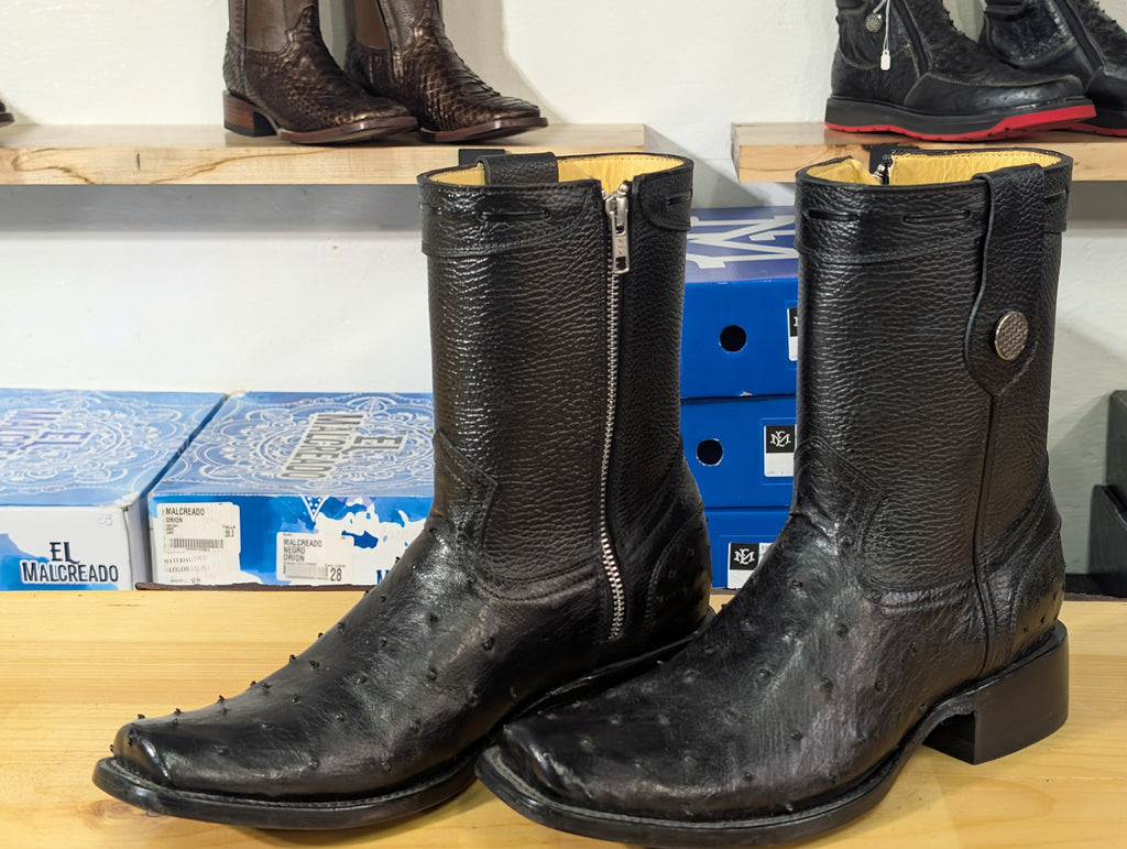 El Malcreado Dylan Avestruz Color Negro