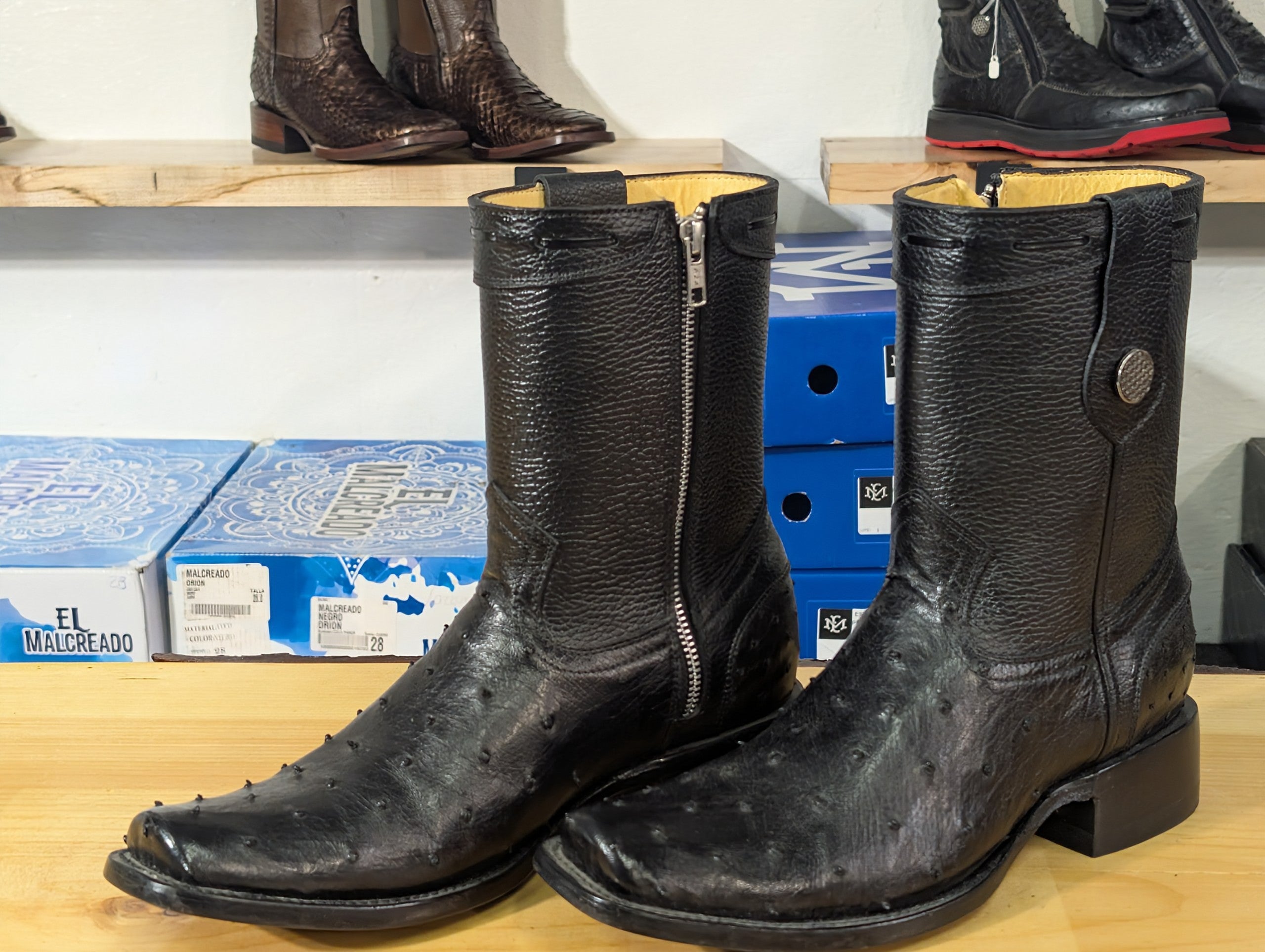 El Malcreado Dylan Avestruz Color Negro