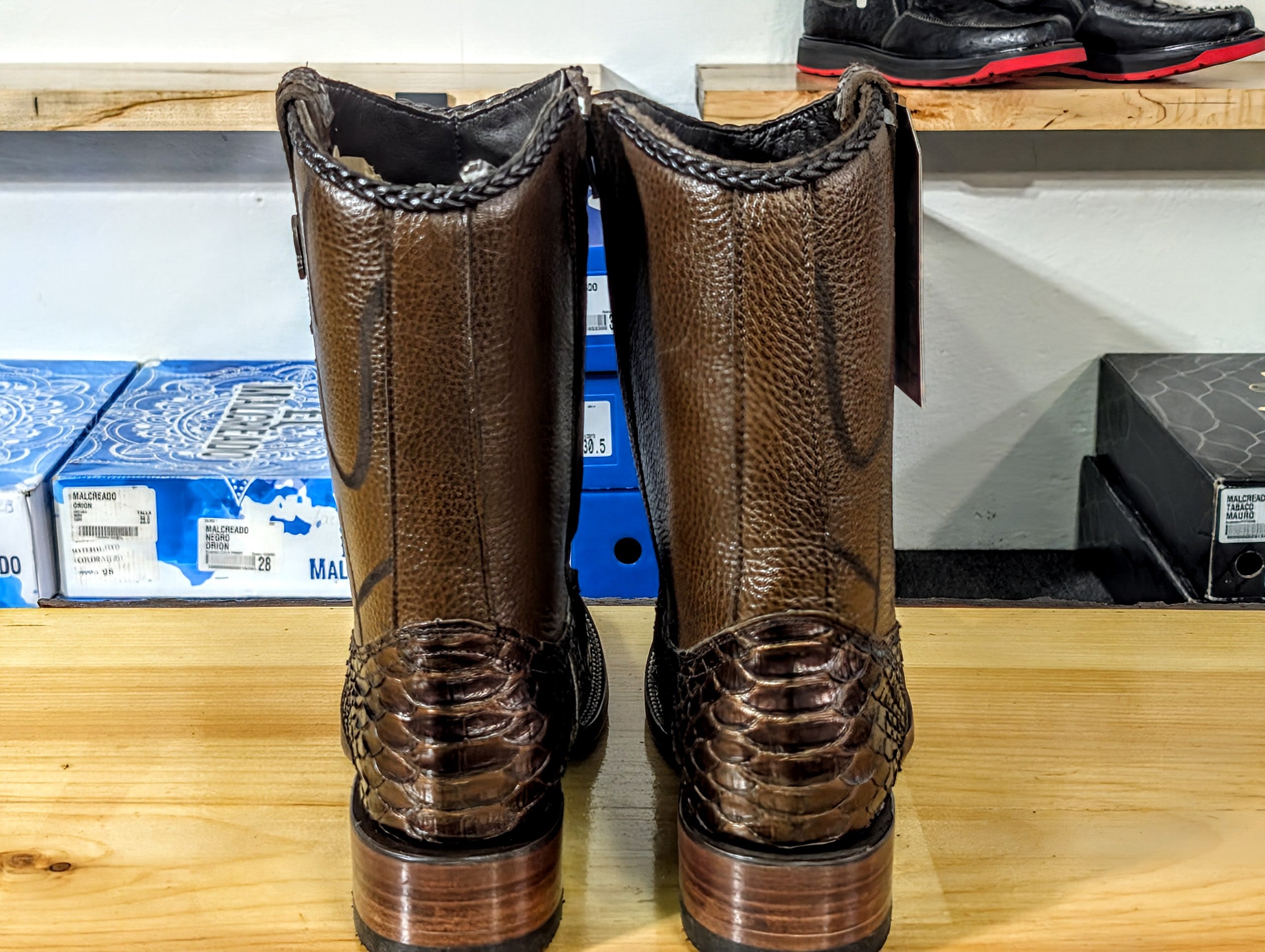 El Malcreado Aaron Piton Color Paris