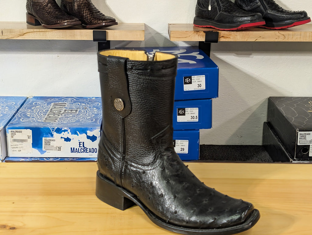 El Malcreado Dylan Avestruz Color Negro