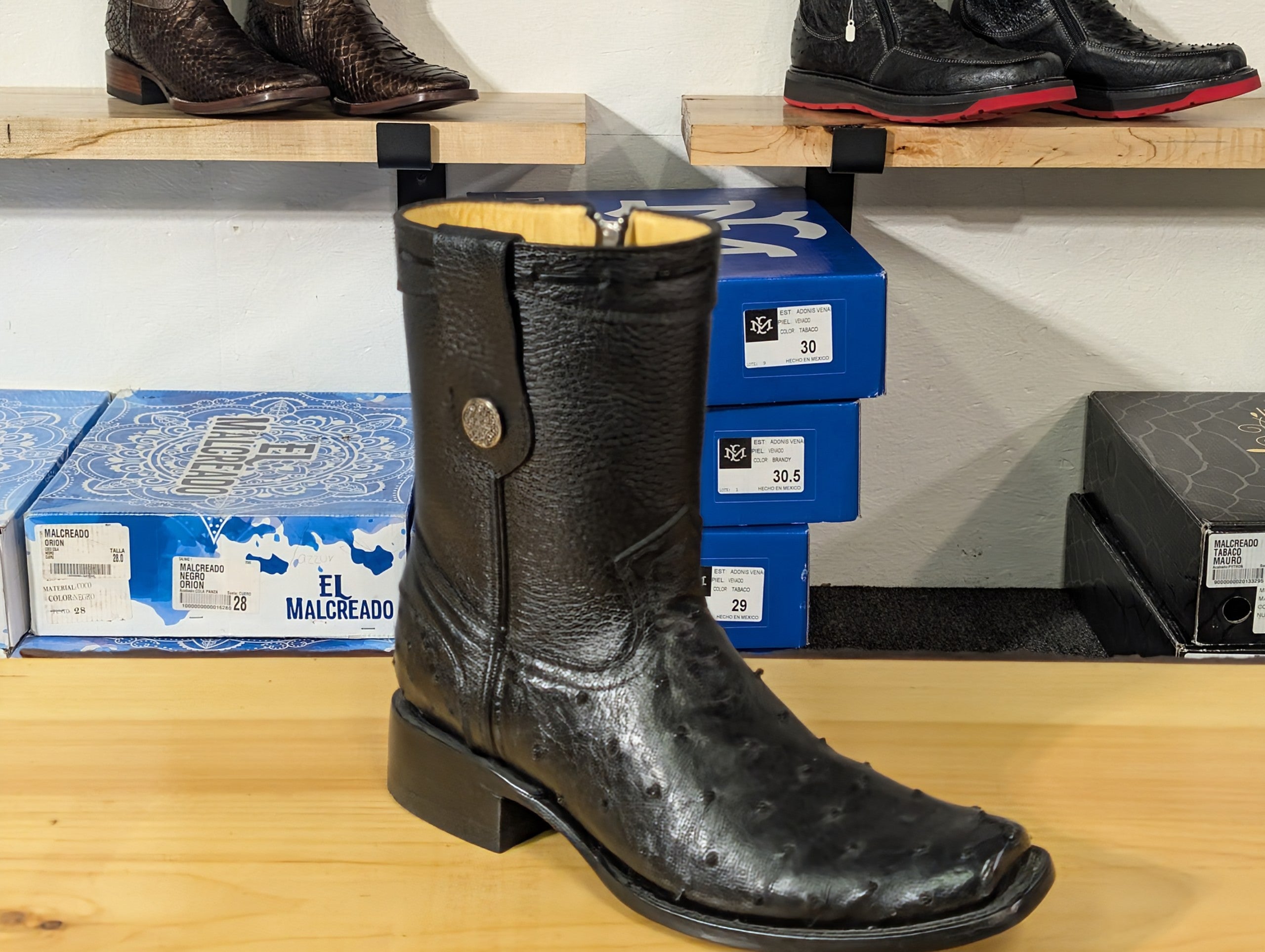 El Malcreado Dylan Avestruz Color Negro