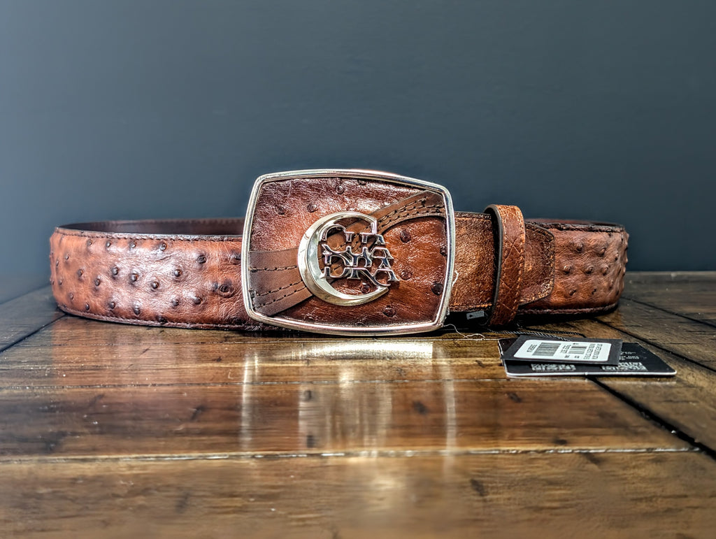 Cinturón en Piel de Avestruz Cuadra