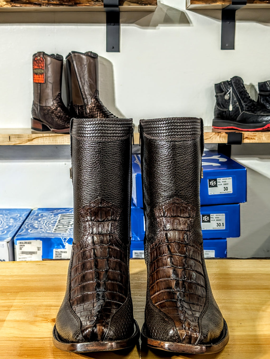 EL Malcreado Orion Cocodrilo Tabaco