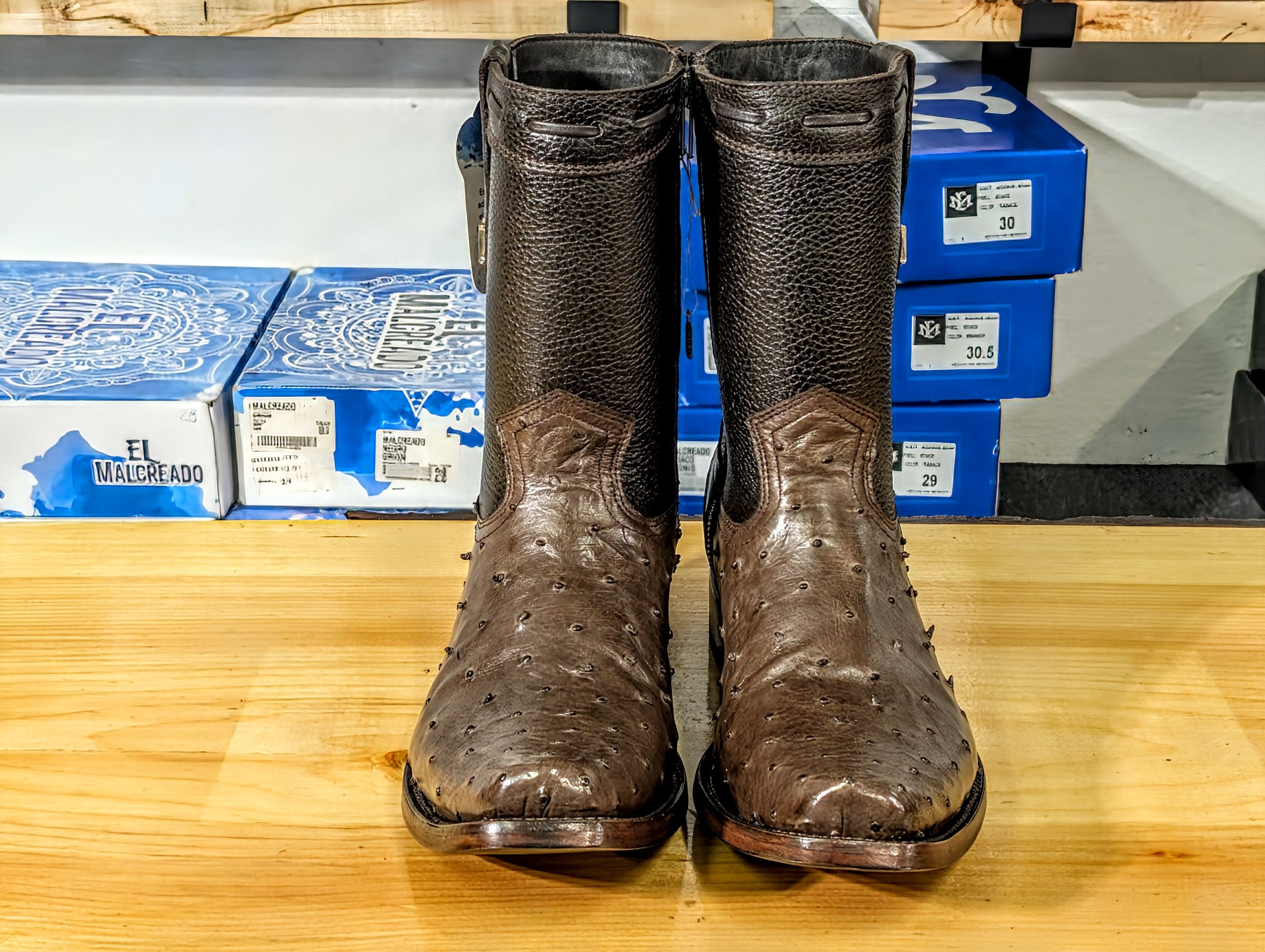 El Malcreado Dylan Avestruz Color Tabaco