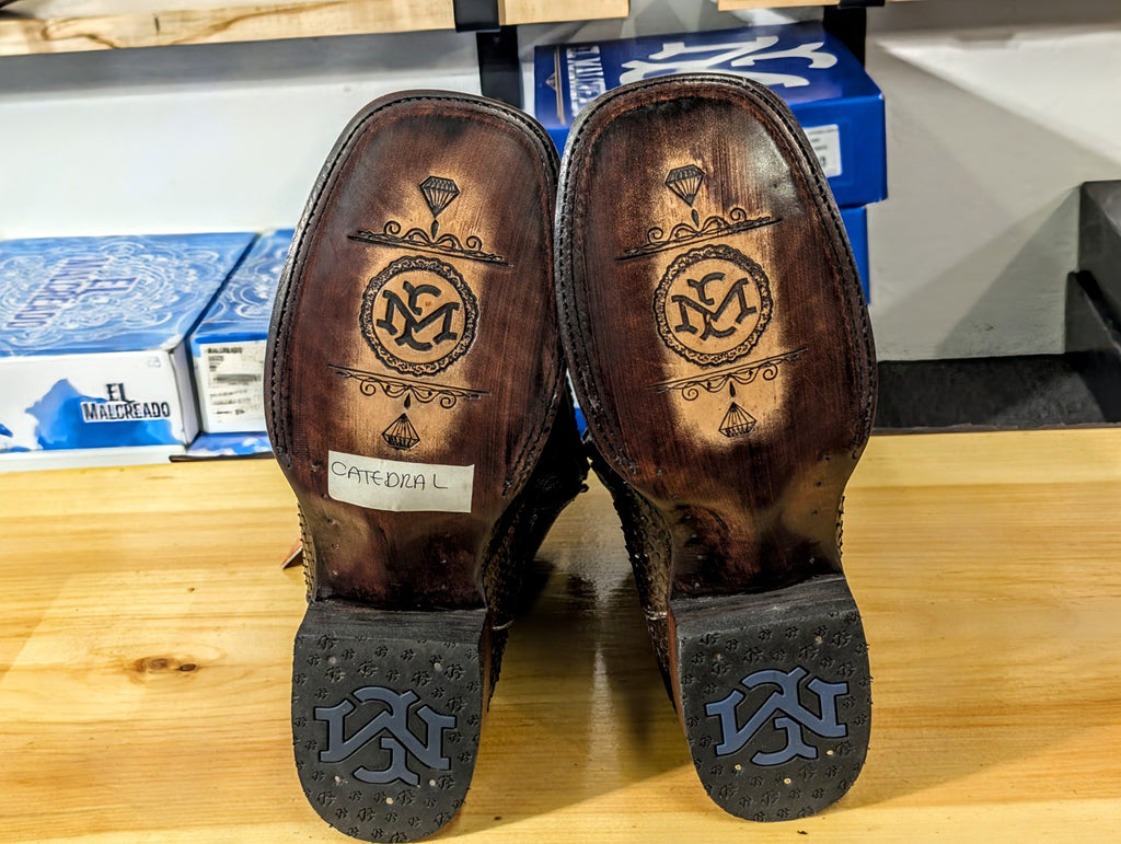 El Malcreado Aaron Piton Color Paris