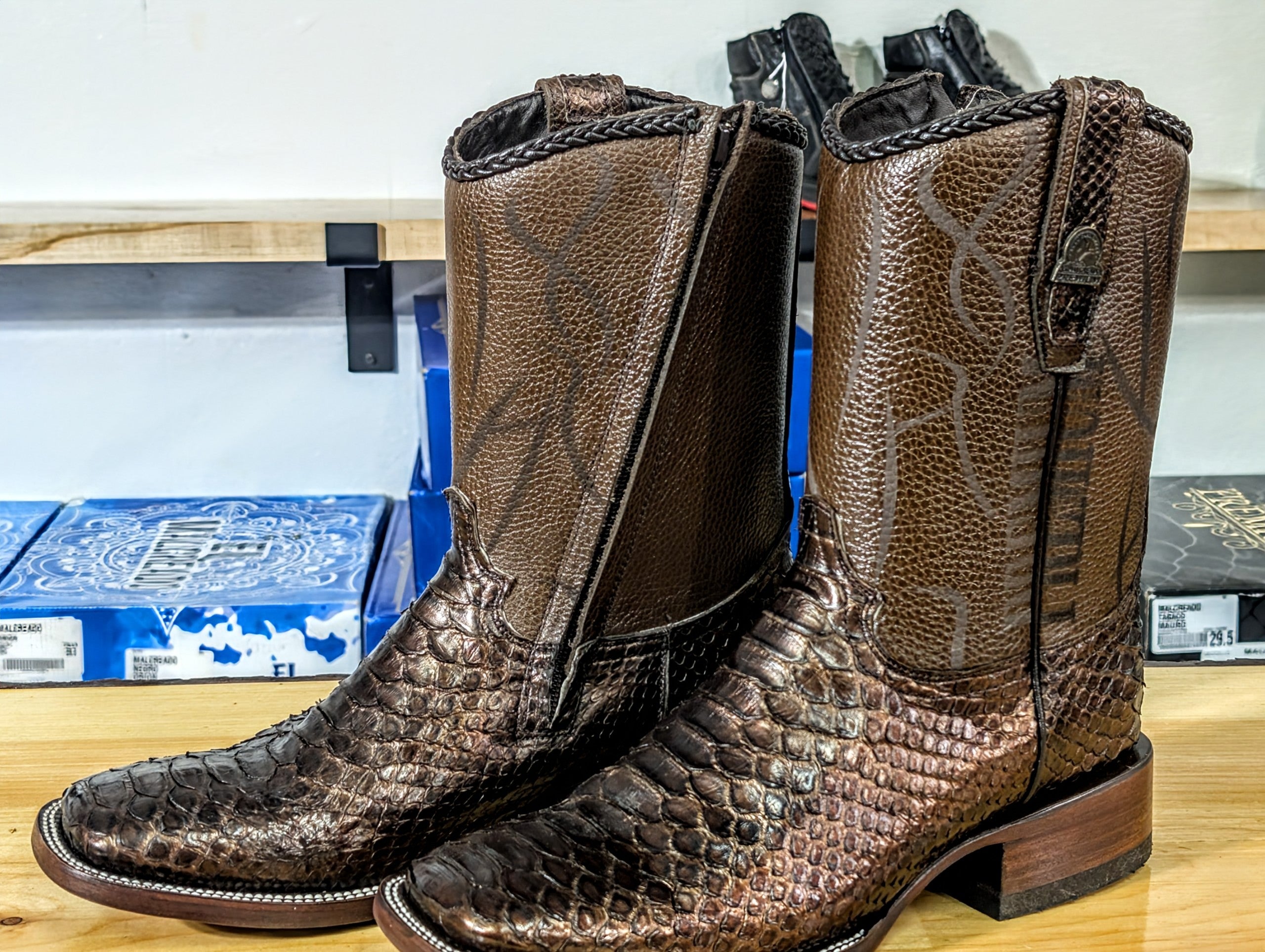 El Malcreado Aaron Piton Color Paris