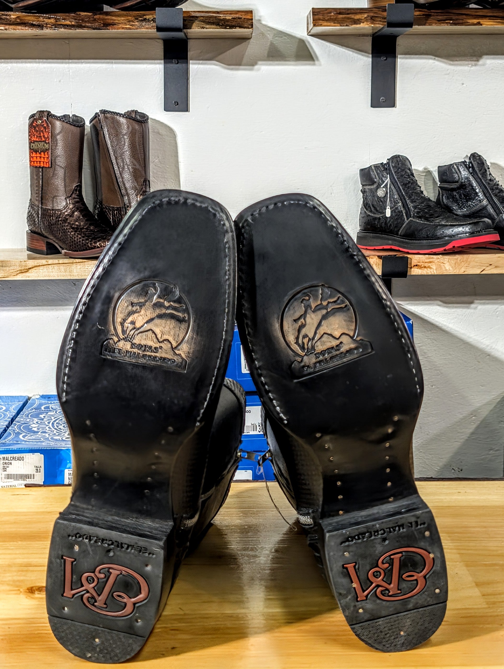 El Malcreado Botas Orion Cocodrilo Color Negro